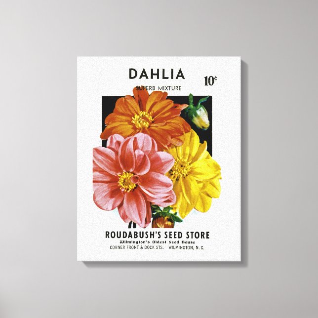 Lienzo Paquete de semillas de Dahlia Vintage (Anverso)