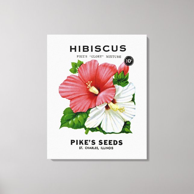 Lienzo Paquete de Semillas Vintage de Hibiscus (Anverso)