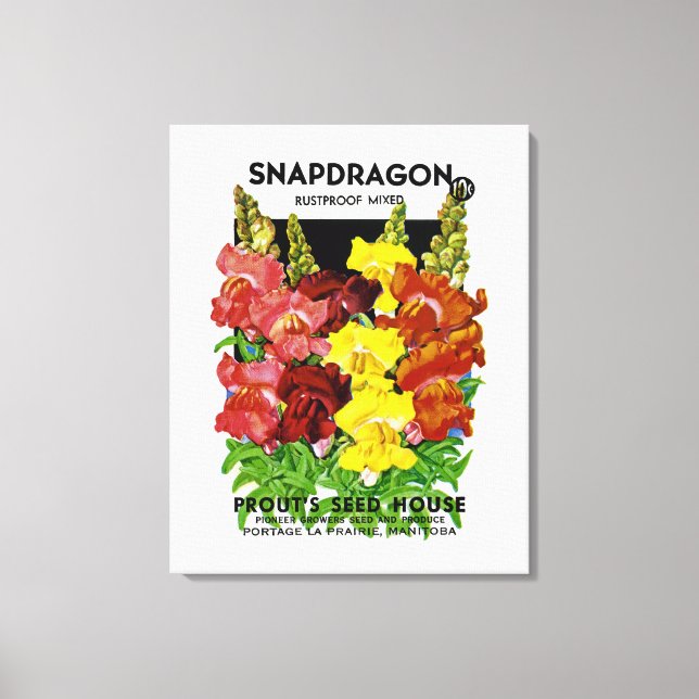Lienzo Paquetes de semillas de Snapdragon Vintage (Anverso)