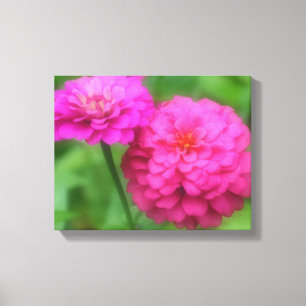 Lienzo Par de flores de zinnia rosa