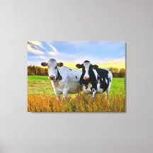 Par de vacas en la pastura