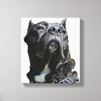 Lienzo para perros grandes