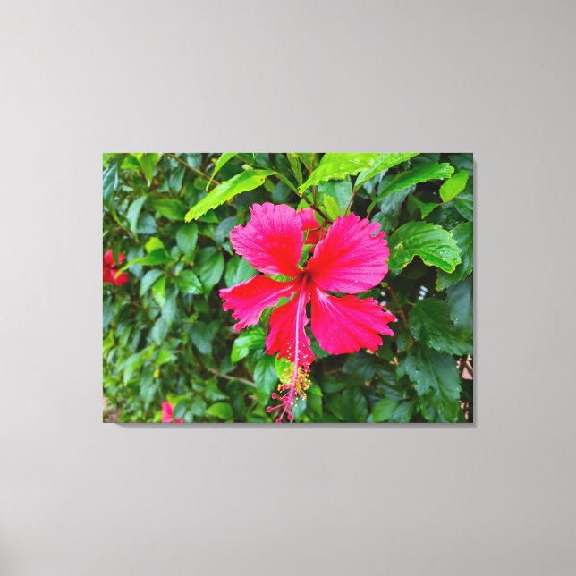 LIENZO PARADISE MORNING (Anverso)