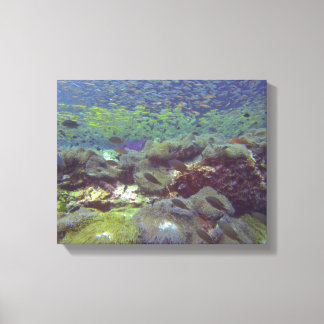 Lienzo Paraíso submarino Islas Similan Tailandia