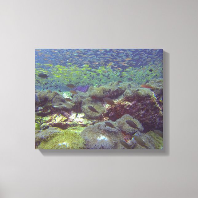 Lienzo Paraíso submarino Islas Similan Tailandia (Anverso)