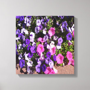 Lienzo Parche de flores de Petunia
