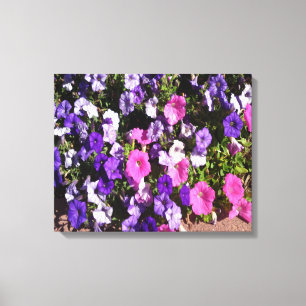 Lienzo Parche de flores de Petunia