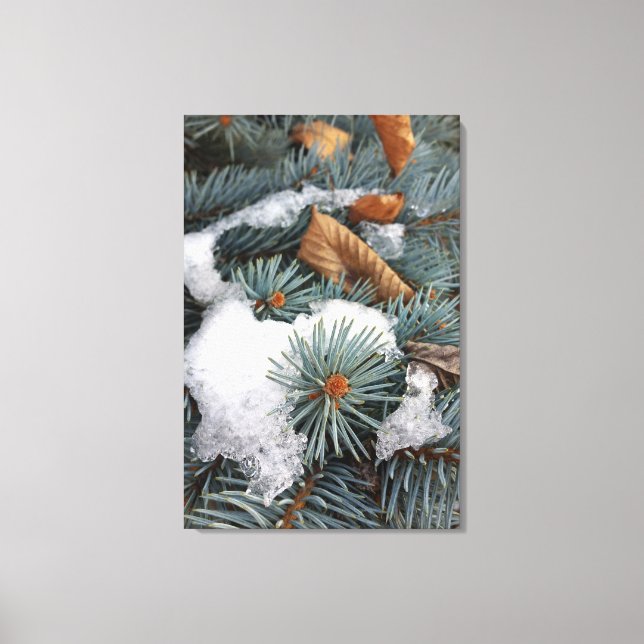 Lienzo parche de nieve (Anverso)