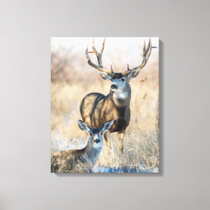 Lienzo Pare de Buck   Venado Mula
