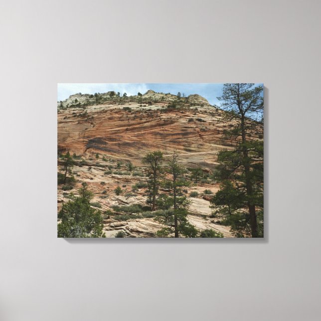Lienzo Paredes de roca desgastadas en el Parque Nacional  (Anverso)
