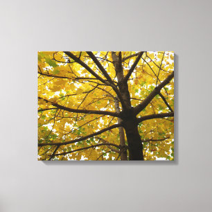 Lienzo Pareja de Arces Amarillos Naturaleza de Otoño