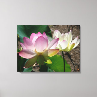 Lienzo Pareja de flores de Lotus I