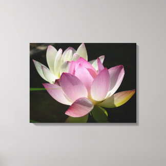 Lienzo Pareja de flores de Lotus II
