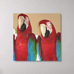 Lienzo Pareja de Guacamayo Escarlata Retrato de Pared Tro