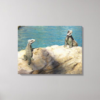 Lienzo Pareja de Iguanas Fotografía de Vida Silvestre Tro