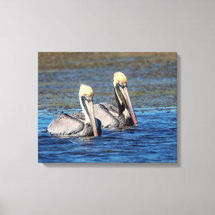 Lienzo Pareja de Pelícanos 20x16