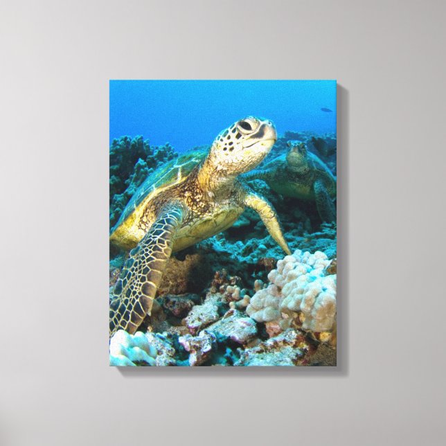 Lienzo Pareja de tortugas (Anverso)