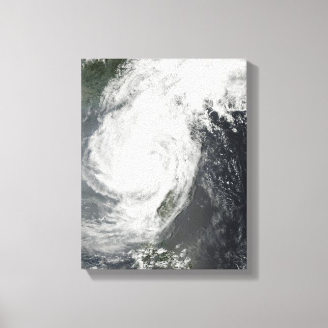 Lienzo Parm Tropical Storm (Anverso)