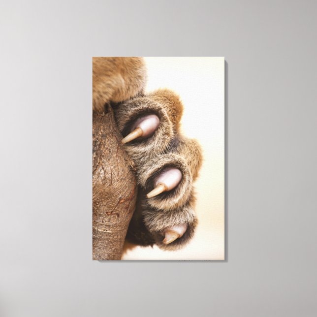 Lienzo Paro de tigre (Anverso)