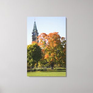 Lienzo Parque al lado del edificio del Parlamento en Otta