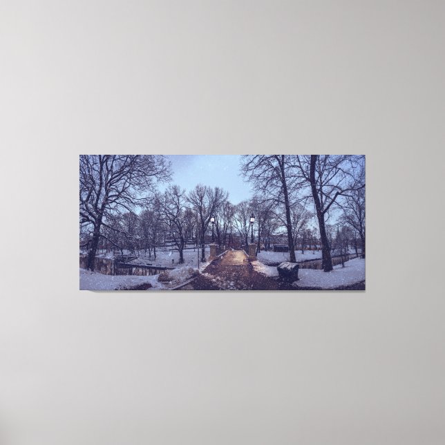 Lienzo Parque de la ciudad nevada de invierno por la noch (Anverso)