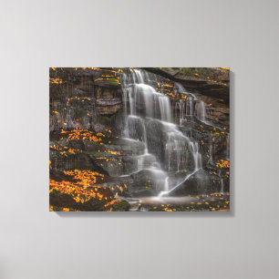 Lienzo Parque Estatal Blackwater Falls