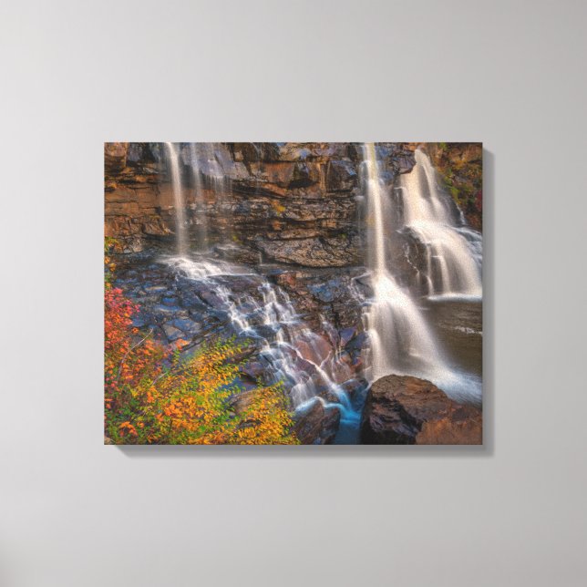 Lienzo Parque Estatal Blackwater Falls | Virginia Occiden (Anverso)