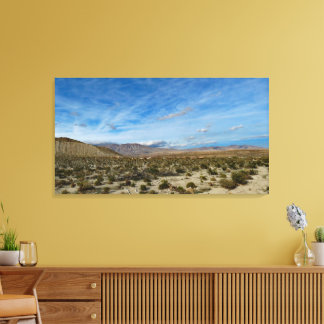 Lienzo Parque estatal Desierto de Anza Borrego