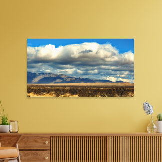 Lienzo Parque estatal Desierto de Anza Borrego