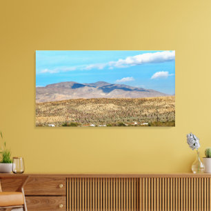 Lienzo Parque estatal Desierto de Anza Borrego