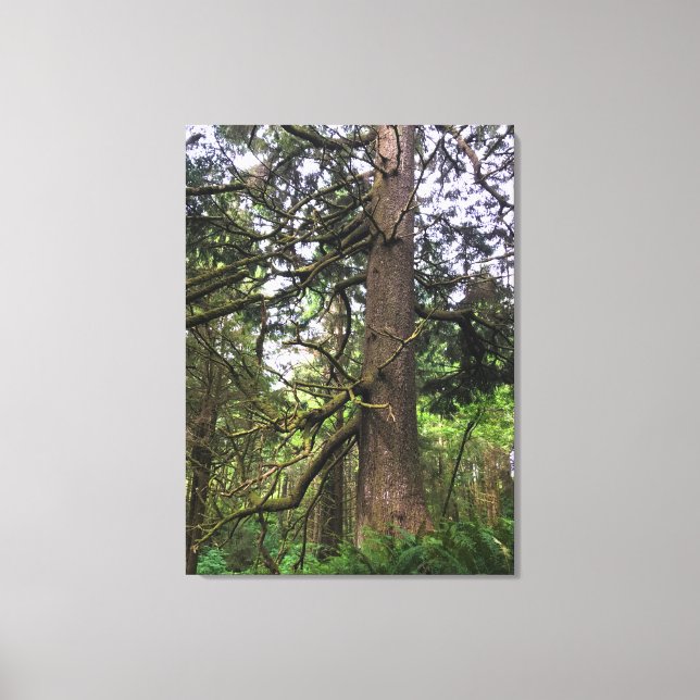 Lienzo Parque Estatal Ecola, Playa Cannon, Oregón (Anverso)