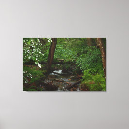 Lienzo Parque Estatal Iron Horse Trail