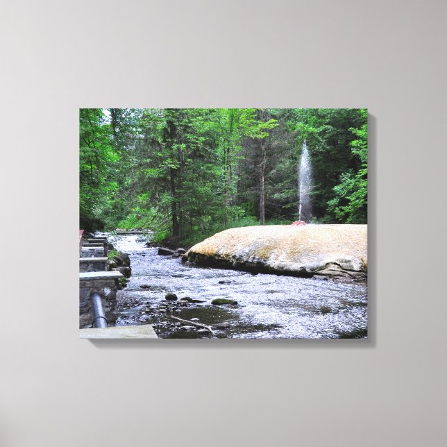 Lienzo Parque estatal Saratoga Spa-Geyser Creek (Anverso)