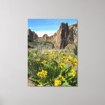 Parque estatal Smith Rock en primavera
