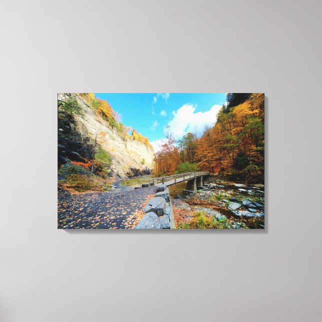 Lienzo Parque estatal Taughannock Falls (Anverso)
