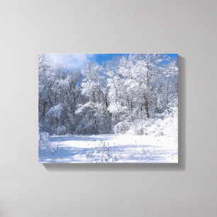Lienzo Parque Marthaler y árboles nevados