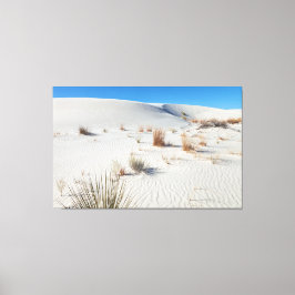 Lienzo Parque nacional Arena Blanca