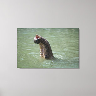 Lienzo Parque nacional de Corbett, Uttaranchal, la India