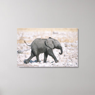 Lienzo Parque nacional de Etosha, Namibia