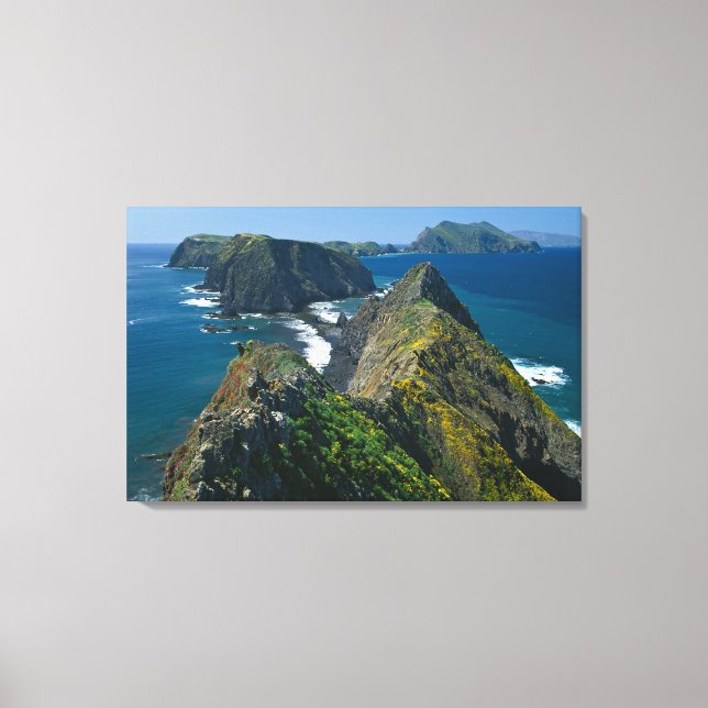 Lienzo Parque nacional de las Islas del Canal, Sur (Anverso)