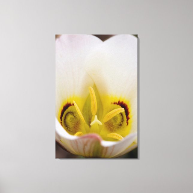 Lienzo Parque nacional de los arrecifes del Capitolio, Ut (Anverso)