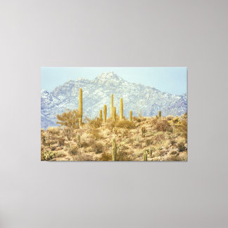 Lienzo Parque nacional de Saguaro