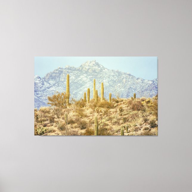 Lienzo Parque nacional de Saguaro (Anverso)