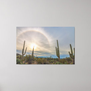 Lienzo Parque nacional de Saguaro