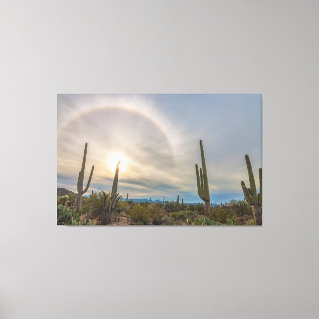 Lienzo Parque nacional de Saguaro (Anverso)