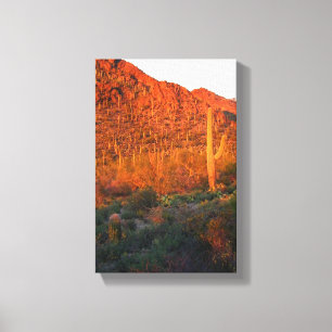 Lienzo Parque nacional de Saguaro