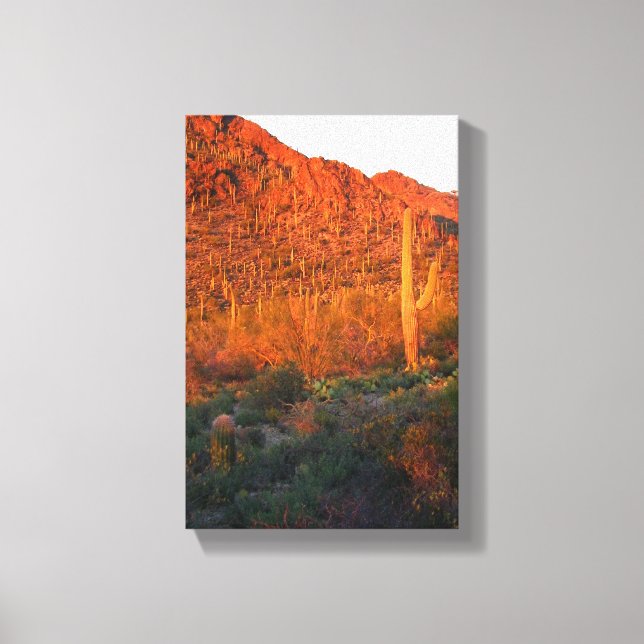 Lienzo Parque nacional de Saguaro (Anverso)