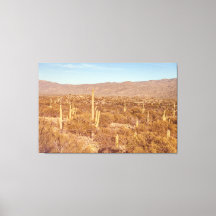 Parque nacional de Saguaro