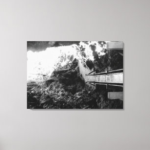 Lienzo Parque nacional Hawaii, vista de un tubo de lava