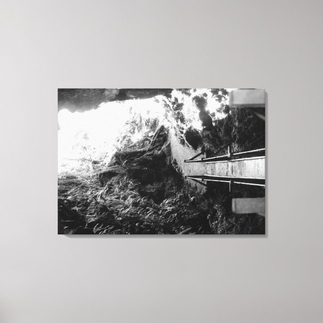 Lienzo Parque nacional Hawaii, vista de un tubo de lava (Anverso)